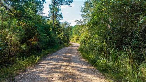 Alabama, Lamar County, 5.75 Acre Willow Grove, Lot 15. TERMS $243/Month