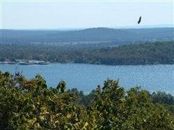 Arkansas, Izard County, 0.17 Acre Sec 06 , Lot 123, Horseshoe Bend. TERMS $38/Month