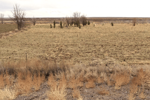 Arizona, Navajo County, 1.25 Acres Arizona Rancho, Lot 68. TERMS $52/Month