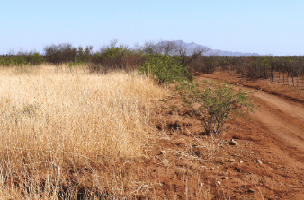 Arizona, Cochise County, 0.19 Acres Cochise College Park #11, Lot 5245 . TERMS $45/Month