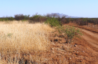 Arizona, Cochise County, 0.19 Acres Cochise College Park #11, Lot 5247 . TERMS $45/Month