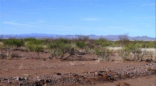 Arizona, Cochise County, .21 Acre Cochise College Estates. TERMS $100/Month