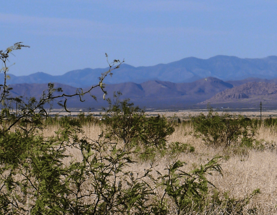 Arizona, comté de Cochise, 0,31 acre (environ 1250 m²), Cochise College Park n° 9, lot 2459. Loyer : 76 $/mois.