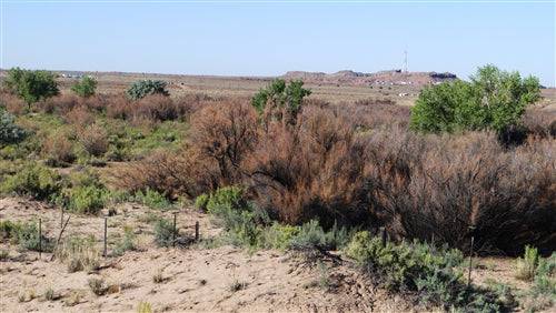 Arizona, Navajo County, 35.09 Acres Holbrook, T17N,R21E: PORTION SECTION 5. TERMS $651/Month