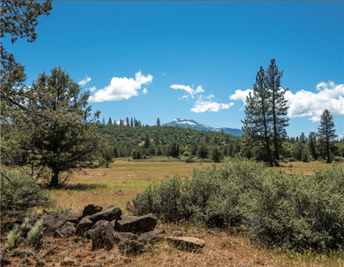 California, Shasta County, 10 Acres Montgomery Creek, S 1/2 OF LOT 10 IN SECTION 5, TOWNSHIP 35 NORTH, RANGE 2 WEST. TERMS $406/Month