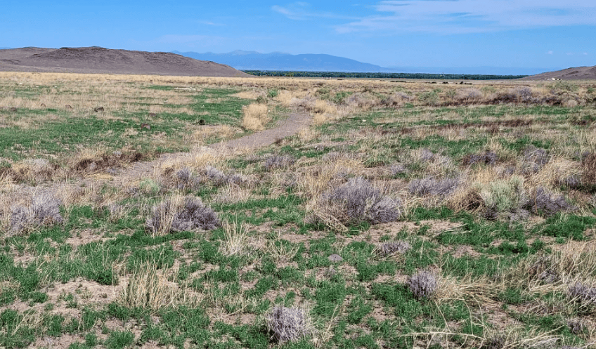 Colorado, Conejos County, 3.15 Acre Antonito FR 2.5107 AC IN N1/2 NW1/4 18-32-9 (County Road 12.5). TERMS $281/Month