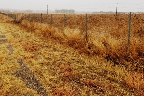 Colorado, Pueblo County, 0.21 Acres Colo City Lot 91 Unit 31. TERMS $99/Month