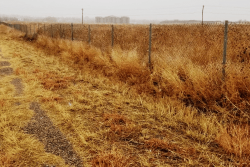 Colorado, Pueblo County, 0.21 Acres Colo City Lot 91 Unit 31. TERMS $99/Month