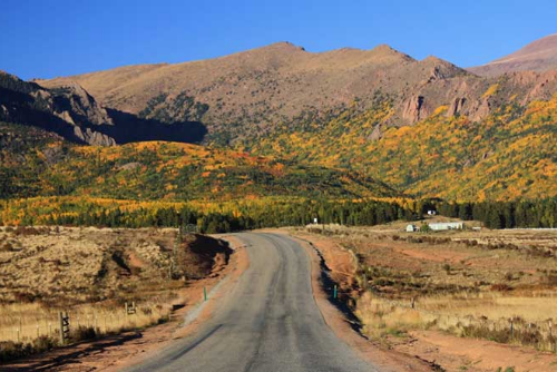 Colorado, Teller County, 1.35 Acres Cripple Creek Lot 46, Electricity and Water. TERMS $357/Month