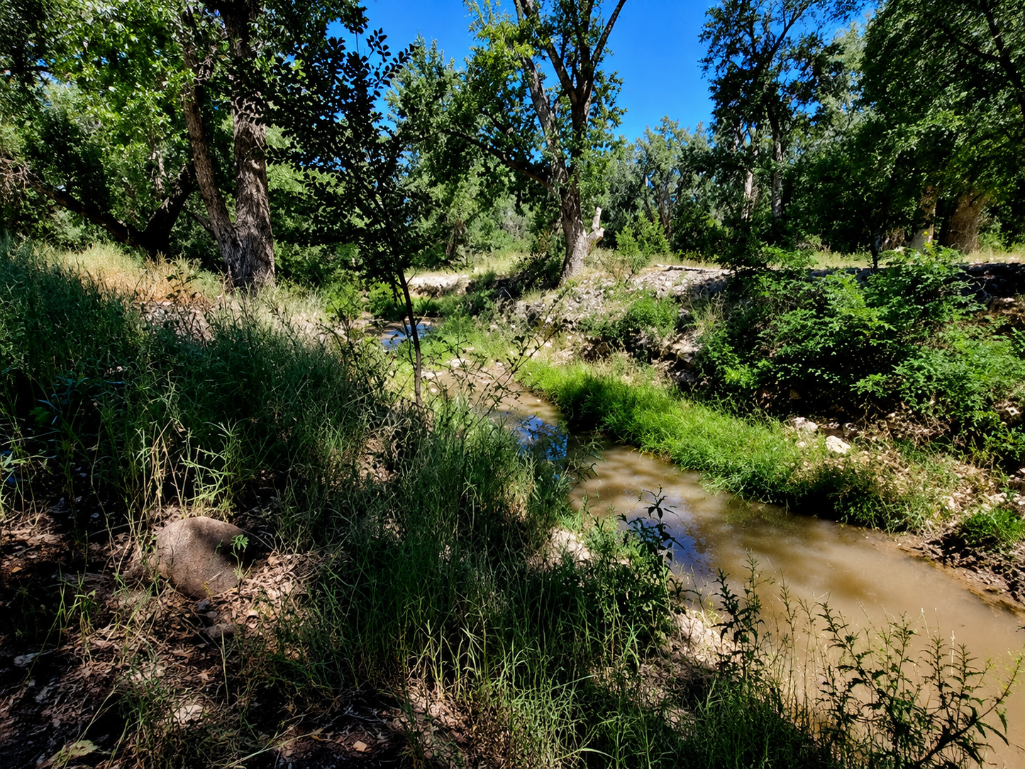 Colorado, Fremont County, 0.25 Acres Chandler Creek SW4 NW4 SE4 SW4 SEC 8-19-69. TERMS $187/Month