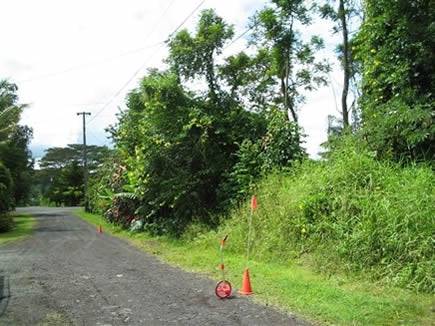Hawaii, Hawaii County, 2 Adjoining 1/4 Acre Nanawale Estates, Holiday Road. TERMS $310/Month