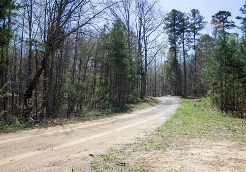 Kentucky, Rock Castle County, 11.54 Acres Chestnut Oak Ridge, Lot 16. TERMS $345/Month