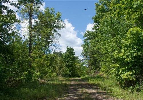 Kentucky, Wayne County, 6.91 Acre Riverbend,POND, Lot 17. CLEARANCE! TERMS $564/Month