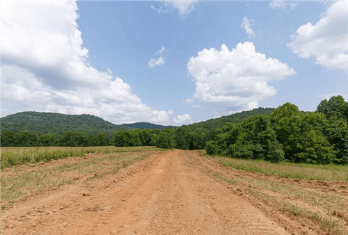 Kentucky, Wayne County, 7.95 Acre Rolling Hills, Lot 6. TERMS $724/Month