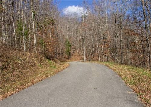 Kentucky, Wayne County, 2.10 Acre The Cliffs, Lot 2, Water View. TERMS $179/Month
