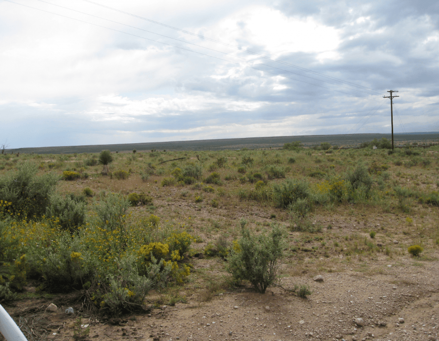 Texas, Hudspeth County, 2.39 Acres La Hacienda Estates , Lot 728. Cash Deal