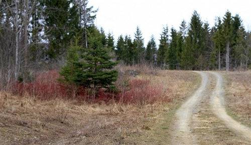 Maine, Aroostook County, 3.7 Acres Sunrise Estates. TERMS $120/Month