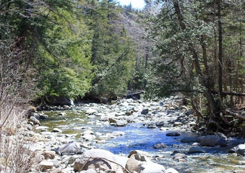 Maine, Somerset County, 70.80 Acre Pleasant Ridge Ranch, Creek, Electricty. TERMS $1,250/Month