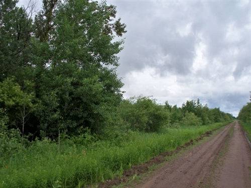 Aerial view of Minnesota Koochiching County 20-acre land parcel for sale by Onlinelandsales, showing wooded and open areas.
