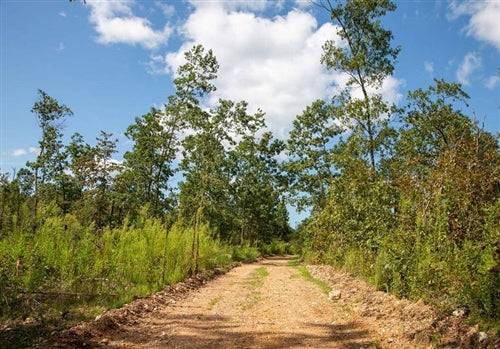 Missouri, Shannon County, 5.03 Acre Borgmann’s Hollow Phase II, Lot 33. TERMS $194/Month