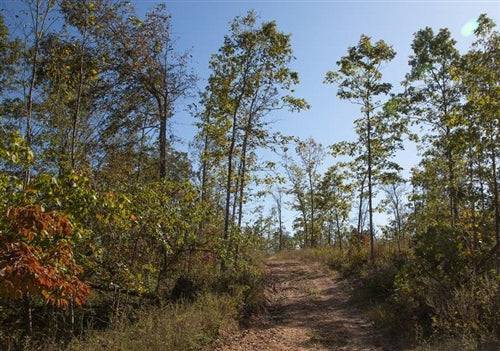 Missouri, Shannon County, 8.01 Acre Borgmann’s Hollow Phase IV, Lot 108. TERMS $220/Month