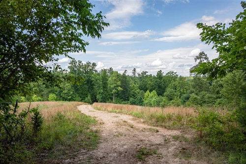 Missouri, Reynolds County, 5.55 Acres Cypress Ridge, Lot 6. TERMS $0 Down $357/Month