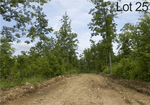 Missouri, Shannon County, 14.55 Acre Thunder Mountain Ranch, Lot 25. TERMS $400/Month