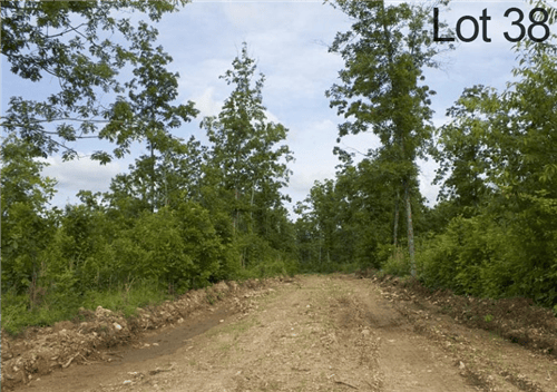 Missouri, Shannon County, 8 Acre Thunder Mountain Ranch, Lot 38. TERMS $234/Month