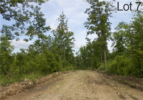 Missouri, Shannon County, 5.01 Acre Thunder Mountain Ranch, Lot 7, Electricity. TERMS $249/Month
