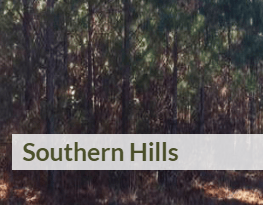 Mississippi, Tishomingo County, 5-8 Acres Southern Hills, Lots 1-20 . TERMS