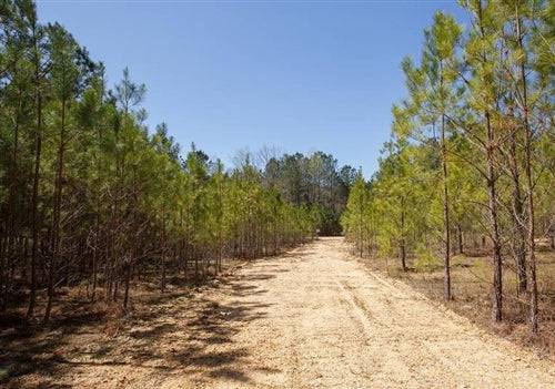 Mississippi, Tishomingo County, 5.56 Acres Southern Hills, Lot 2. TERMS $319/Month