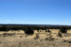 New Mexico, Catron County, 40 Acres Catrone Township 4N, Range 9W, Section 33 NE4SE4. TERMS $484/Month
