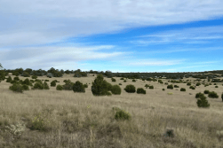 New Mexico, Catron County, 24.87 Acres Horseshoe Trails Lot 13. TERMS $674/Month