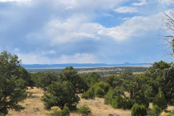 New Mexico, Catron County, 11.64 Acres Ponderosa Views Unit 1 Lot 4. TERMS $472/Month