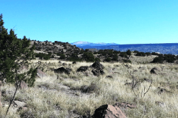 New Mexico, Cibola County, 0.56 Acres Gabaldon, Lots 17,18,19,20 (4 Adj Lots). TERMS $0 Down (now) $121/Month