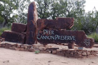 New Mexico, Torrance County, 20 Acre Deer Canyon Preserve Unit II Lot 61, Electricity & Water Nearby. Special 8% TERMS $940/Month