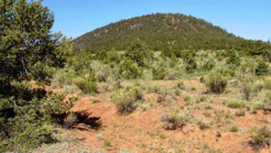 New Mexico, Cibola County, 0.25 Acre El Morro Estates, Unit 1 Lot 486. TERMS $50/Month