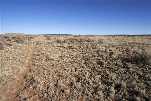 New Mexico, Torrance County, 0.83 Acre Estancia Ranchettes, Lot 22. TERMS $55/Month