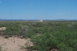 New Mexico, Luna County, Near Columbus, 5 Acre T28S R8W Sec 5 WHNEQSWQSEQ. TERMS $57/Month