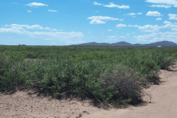New Mexico, Luna County, Near Columbus, 10 Acre T28S R8W Sec 5 SEQNWQNEQ. TERMS $112/Month