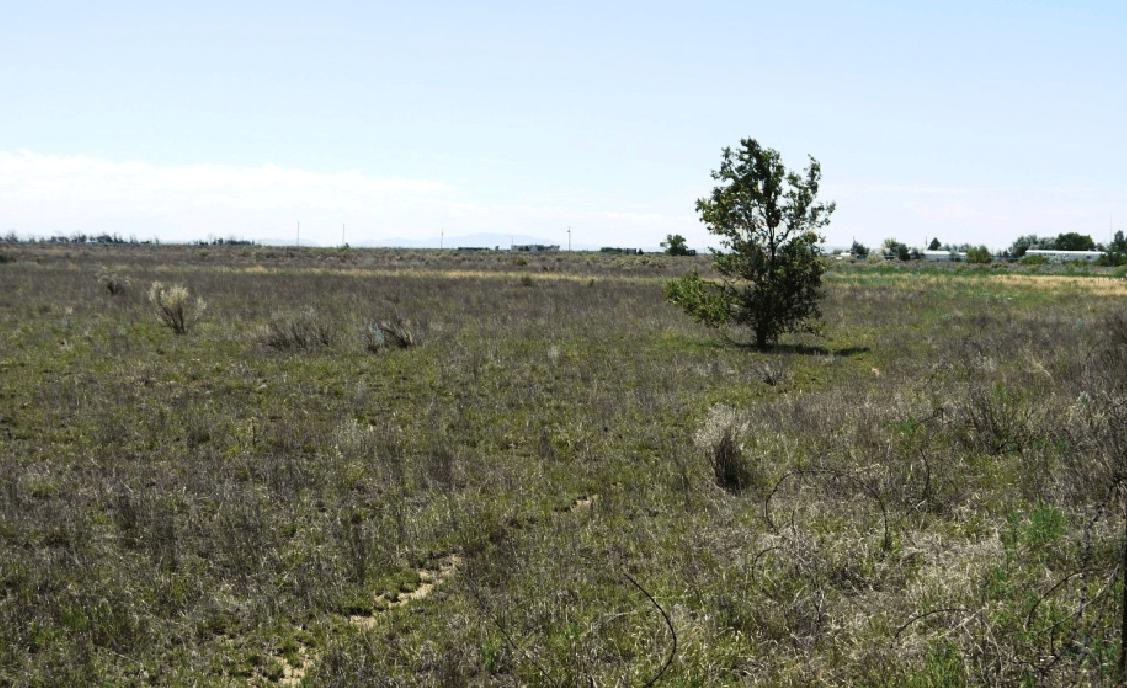 New Mexico, Torrance County, 27 Acre North of Estancia Parcel #3 SW4SE4. Special 8% TERMS $715/Month