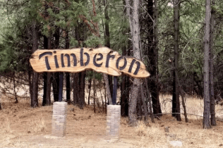New Mexico, Otero County, 0.53 Acres Timberon Unit 12 Block 103 Lot 200. TERMS $75/Month