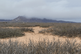 New Mexico, Luna County, 10 Acres Pancho Villa Ranches, Lot 202. TERMS $152/Month