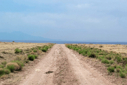 Rio Grande Estates Land, Valencia County, NM
