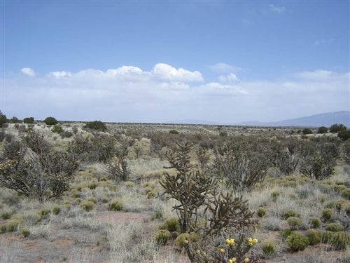 New Mexico, Sandoval County, 4.85 Acre Rio Rancho, Unit 23, Block 166, Lot PARK. TERMS $224/Month