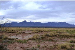 New Mexico, Luna County, Sunshine Valley Ranchettes, 0.5 Acre Lot 13 Unit 11. TERMS $25/Month