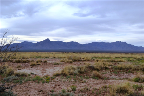 New Mexico, Luna County, Sunshine Valley Ranchettes, 0.5 Acre Lot 35 Unit 15. TERMS $25/Month