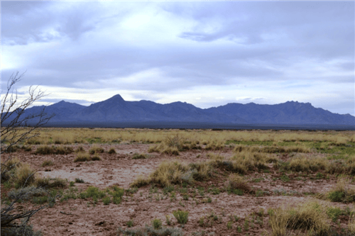 New Mexico, Luna County, Sunshine Valley Ranchettes, 0.5 Acre Lot 35 Unit 15. TERMS $25/Month