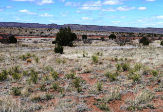 New Mexico, San Miguel County, 5.20 Acres Rancho Lake Conchas Unit 2, Block 25, Lot 20. TERMS $235/Month