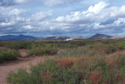 New Mexico, Luna County, Southwestern Homesites, 2.16 Acre Lot 37-38 Unit 1 Block 4. TERMS $119/Month